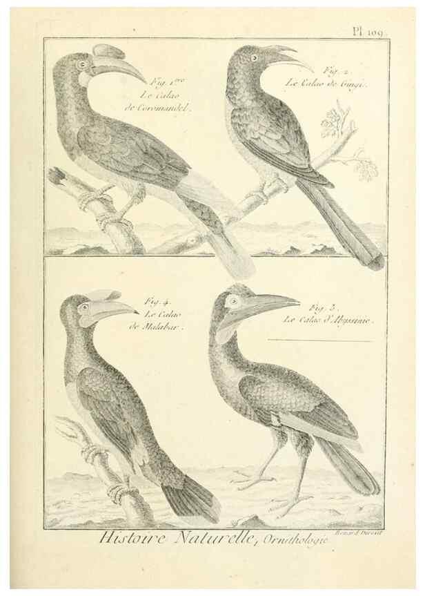 Reproducción/Reproduction 7850626862: Tableau encyclopédique et méthodique des trois règnes de la nature.. A Paris :Chez Mme. veuve Agasse ...,1823.