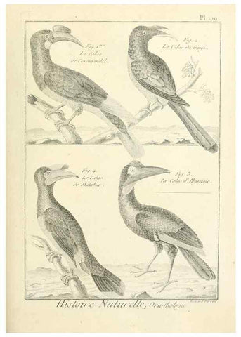 Reproducción/Reproduction 7850626862: Tableau encyclopédique et méthodique des trois règnes de la nature.. A Paris :Chez Mme. veuve Agasse ...,1823.