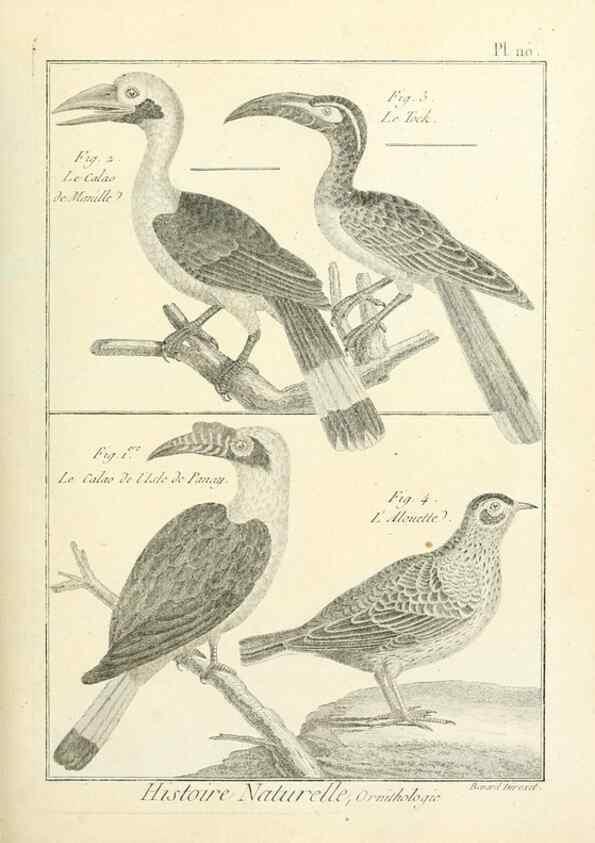 Reproducción/Reproduction 7850627866: Tableau encyclopédique et méthodique des trois règnes de la nature.. A Paris :Chez Mme. veuve Agasse ...,1823.