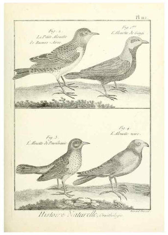 Reproducción/Reproduction 7850630126: Tableau encyclopédique et méthodique des trois règnes de la nature.. A Paris :Chez Mme. veuve Agasse ...,1823.