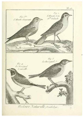 Reproducción/Reproduction 7850631208: Tableau encyclopédique et méthodique des trois règnes de la nature.. A Paris :Chez Mme. veuve Agasse ...,1823.