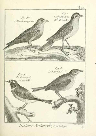 Reproducción/Reproduction 7850631208: Tableau encyclopédique et méthodique des trois règnes de la nature.. A Paris :Chez Mme. veuve Agasse ...,1823.