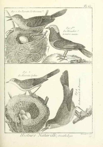 Reproducción/Reproduction 7850633522: Tableau encyclopédique et méthodique des trois règnes de la nature.. A Paris :Chez Mme. veuve Agasse ...,1823.