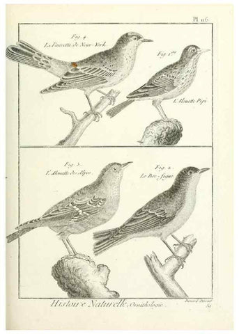 Reproducción/Reproduction 7850634586: Tableau encyclopédique et méthodique des trois règnes de la nature.. A Paris :Chez Mme. veuve Agasse ...,1823.