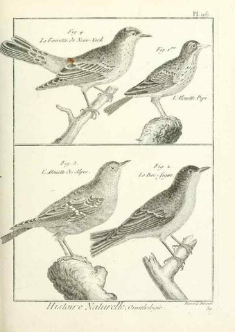 Reproducción/Reproduction 7850634586: Tableau encyclopédique et méthodique des trois règnes de la nature.. A Paris :Chez Mme. veuve Agasse ...,1823.
