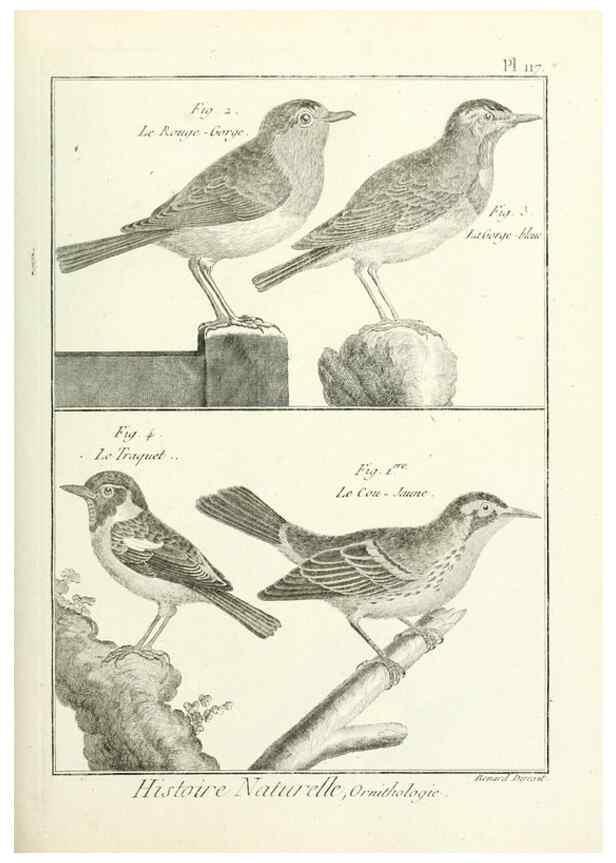 Reproducción/Reproduction 7850635640: Tableau encyclopédique et méthodique des trois règnes de la nature.. A Paris :Chez Mme. veuve Agasse ...,1823.