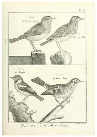 Reproducción/Reproduction 7850635640: Tableau encyclopédique et méthodique des trois règnes de la nature.. A Paris :Chez Mme. veuve Agasse ...,1823.