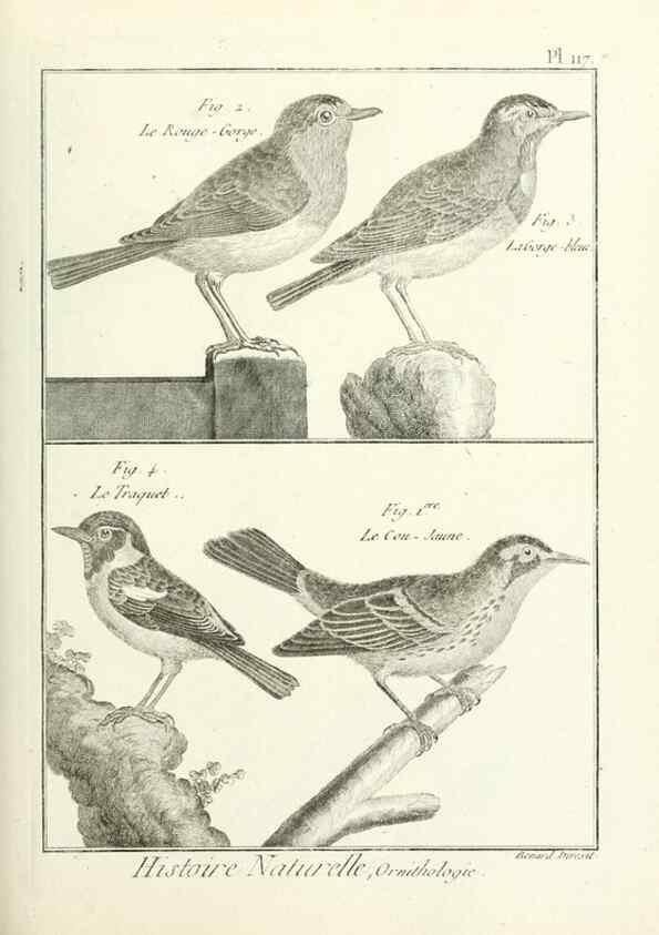 Reproducción/Reproduction 7850635640: Tableau encyclopédique et méthodique des trois règnes de la nature.. A Paris :Chez Mme. veuve Agasse ...,1823.