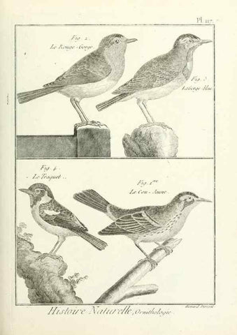 Reproducción/Reproduction 7850635640: Tableau encyclopédique et méthodique des trois règnes de la nature.. A Paris :Chez Mme. veuve Agasse ...,1823.