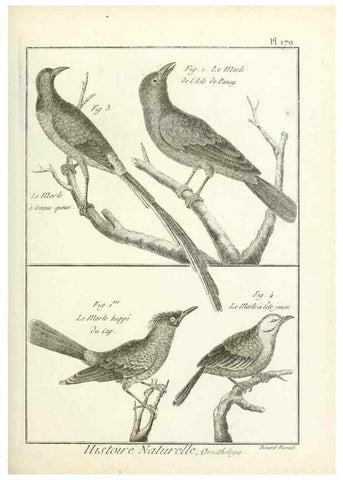 Reproducción/Reproduction 7850706706: Tableau encyclopédique et méthodique des trois règnes de la nature.. A Paris :Chez Mme. veuve Agasse ...,1823.
