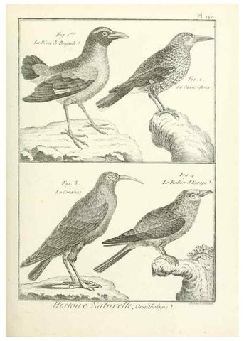 Reproducción/Reproduction 7850661238: Tableau encyclopédique et méthodique des trois règnes de la nature.. A Paris :Chez Mme. veuve Agasse ...,1823.