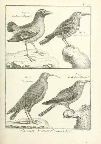 Reproducción/Reproduction 7850661238: Tableau encyclopédique et méthodique des trois règnes de la nature.. A Paris :Chez Mme. veuve Agasse ...,1823.