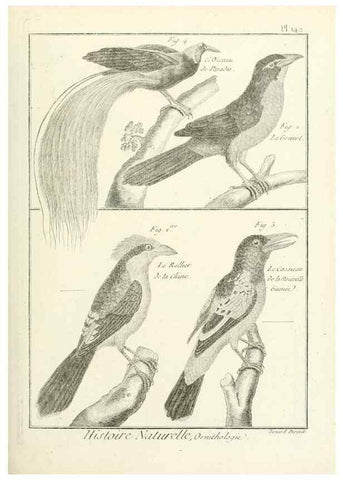 Reproducción/Reproduction 7850663616: Tableau encyclopédique et méthodique des trois règnes de la nature.. A Paris :Chez Mme. veuve Agasse ...,1823.