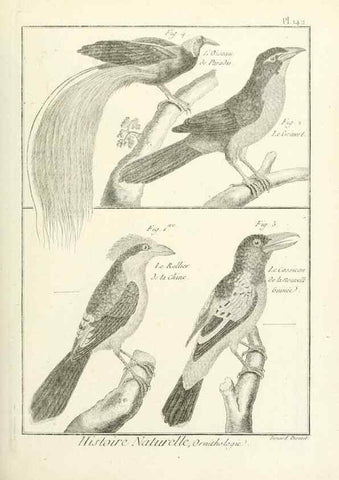 Reproducción/Reproduction 7850663616: Tableau encyclopédique et méthodique des trois règnes de la nature.. A Paris :Chez Mme. veuve Agasse ...,1823.