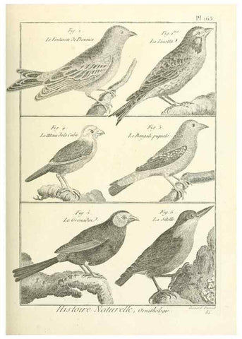 Reproducción/Reproduction 7850686956: Tableau encyclopédique et méthodique des trois règnes de la nature.. A Paris :Chez Mme. veuve Agasse ...,1823.