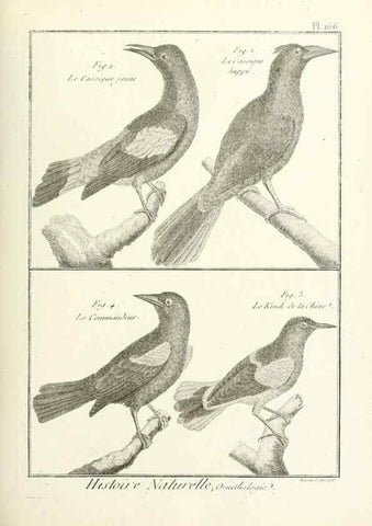 Reproducción/Reproduction 7850690540: Tableau encyclopédique et méthodique des trois règnes de la nature.. A Paris :Chez Mme. veuve Agasse ...,1823.