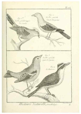 Reproducción/Reproduction 7850699180: Tableau encyclopédique et méthodique des trois règnes de la nature.. A Paris :Chez Mme. veuve Agasse ...,1823.