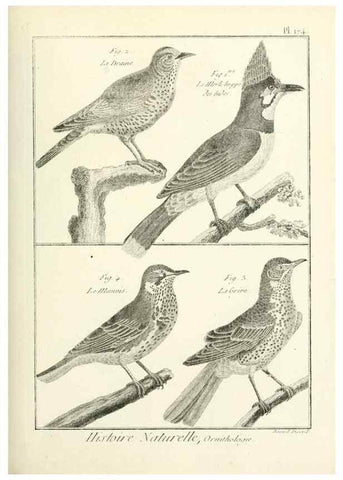 Reproducción/Reproduction 7850700466: Tableau encyclopédique et méthodique des trois règnes de la nature.. A Paris :Chez Mme. veuve Agasse ...,1823.