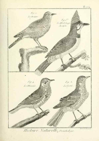 Reproducción/Reproduction 7850700466: Tableau encyclopédique et méthodique des trois règnes de la nature.. A Paris :Chez Mme. veuve Agasse ...,1823.