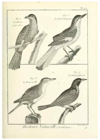 Reproducción/Reproduction 7850701596: Tableau encyclopédique et méthodique des trois règnes de la nature.. A Paris :Chez Mme. veuve Agasse ...,1823.