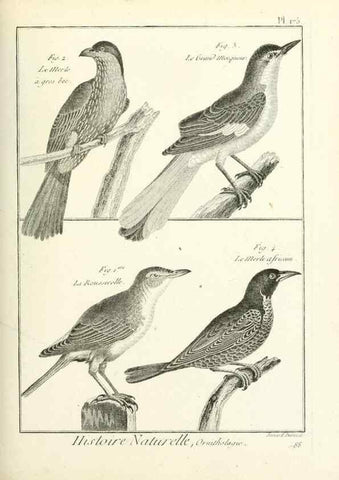 Reproducción/Reproduction 7850701596: Tableau encyclopédique et méthodique des trois règnes de la nature.. A Paris :Chez Mme. veuve Agasse ...,1823.