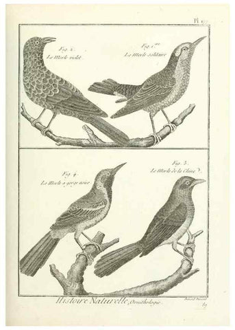 Reproducción/Reproduction 7850703992: Tableau encyclopédique et méthodique des trois règnes de la nature.. A Paris :Chez Mme. veuve Agasse ...,1823.