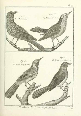 Reproducción/Reproduction 7850703992: Tableau encyclopédique et méthodique des trois règnes de la nature.. A Paris :Chez Mme. veuve Agasse ...,1823.