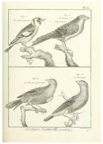 Reproducción/Reproduction 7850684574: Tableau encyclopédique et méthodique des trois règnes de la nature.. A Paris :Chez Mme. veuve Agasse ...,1823.