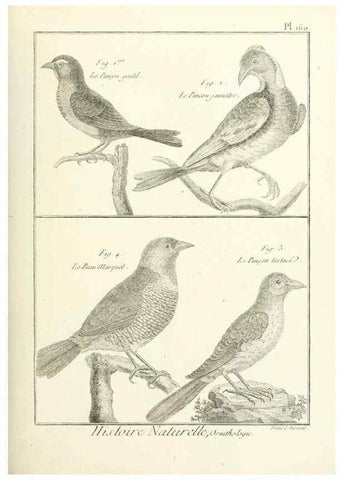 Reproducción/Reproduction 7850683466: Tableau encyclopédique et méthodique des trois règnes de la nature.. A Paris :Chez Mme. veuve Agasse ...,1823.