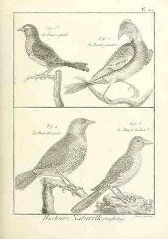 Reproducción/Reproduction 7850683466: Tableau encyclopédique et méthodique des trois règnes de la nature.. A Paris :Chez Mme. veuve Agasse ...,1823.