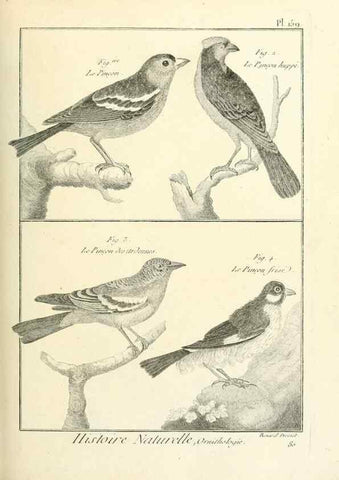 Reproducción/Reproduction 7850682306: Tableau encyclopédique et méthodique des trois règnes de la nature.. A Paris :Chez Mme. veuve Agasse ...,1823.