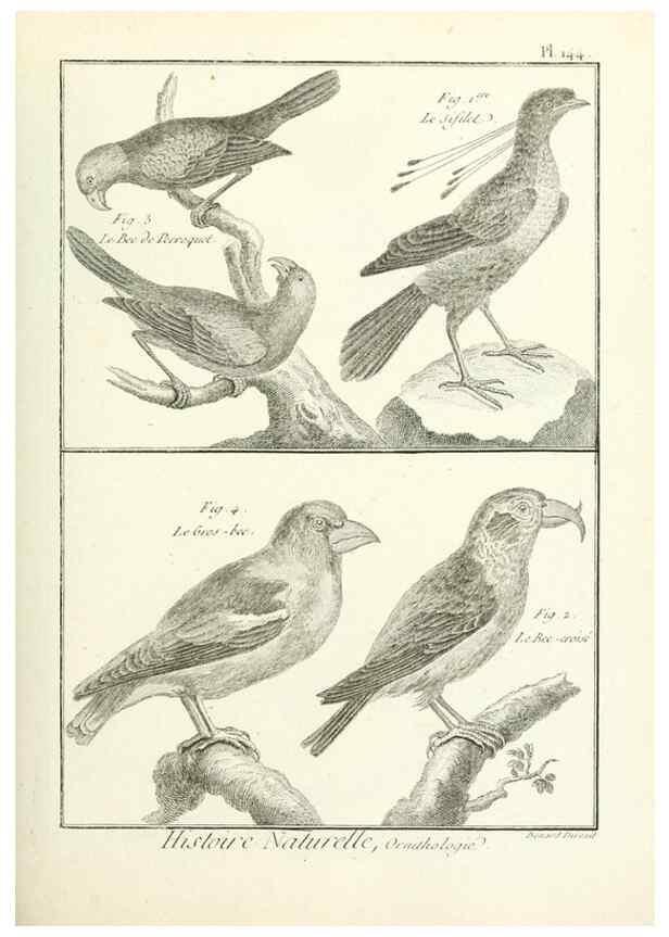 Reproducción/Reproduction 7850665892: Tableau encyclopédique et méthodique des trois règnes de la nature.. A Paris :Chez Mme. veuve Agasse ...,1823.