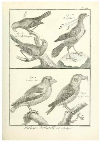 Reproducción/Reproduction 7850665892: Tableau encyclopédique et méthodique des trois règnes de la nature.. A Paris :Chez Mme. veuve Agasse ...,1823.