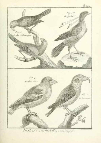 Reproducción/Reproduction 7850665892: Tableau encyclopédique et méthodique des trois règnes de la nature.. A Paris :Chez Mme. veuve Agasse ...,1823.
