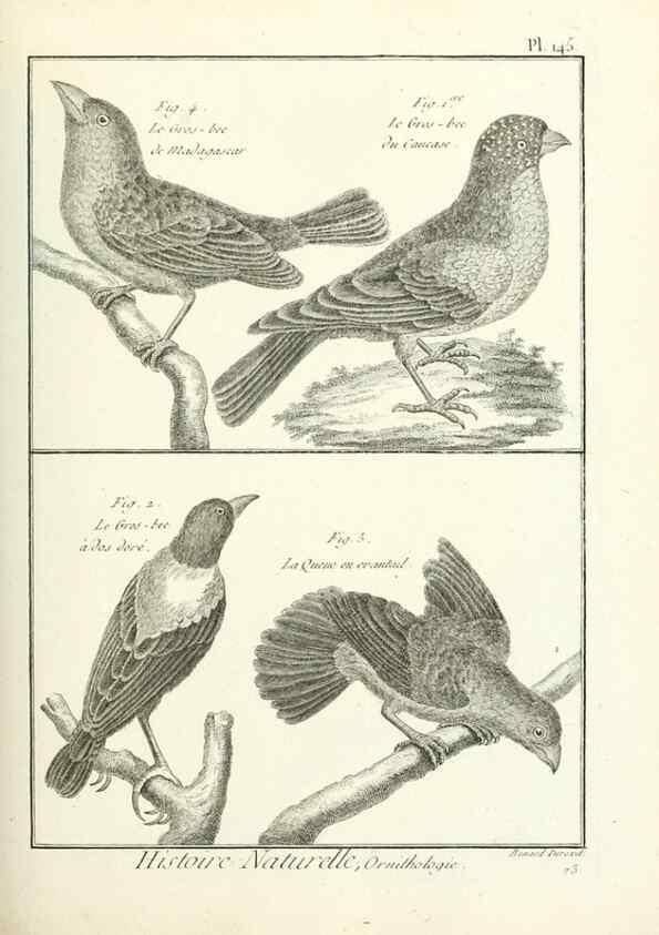 Reproducción/Reproduction 7850666982: Tableau encyclopédique et méthodique des trois règnes de la nature.. A Paris :Chez Mme. veuve Agasse ...,1823.