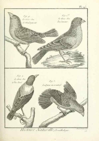 Reproducción/Reproduction 7850666982: Tableau encyclopédique et méthodique des trois règnes de la nature.. A Paris :Chez Mme. veuve Agasse ...,1823.