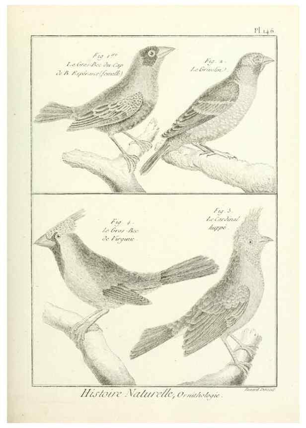 Reproducción/Reproduction 7850667998: Tableau encyclopédique et méthodique des trois règnes de la nature.. A Paris :Chez Mme. veuve Agasse ...,1823.