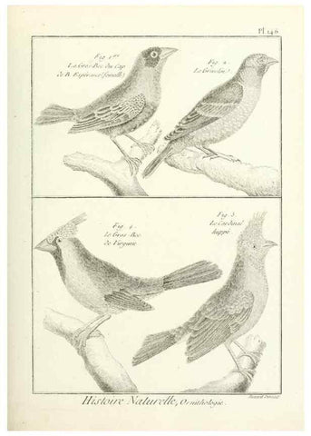 Reproducción/Reproduction 7850667998: Tableau encyclopédique et méthodique des trois règnes de la nature.. A Paris :Chez Mme. veuve Agasse ...,1823.