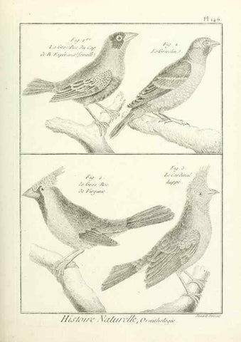 Reproducción/Reproduction 7850667998: Tableau encyclopédique et méthodique des trois règnes de la nature.. A Paris :Chez Mme. veuve Agasse ...,1823.