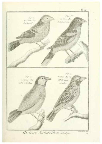 Reproducción/Reproduction 7850668946: Tableau encyclopédique et méthodique des trois règnes de la nature.. A Paris :Chez Mme. veuve Agasse ...,1823.