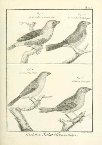 Reproducción/Reproduction 7850669944: Tableau encyclopédique et méthodique des trois règnes de la nature.. A Paris :Chez Mme. veuve Agasse ...,1823.