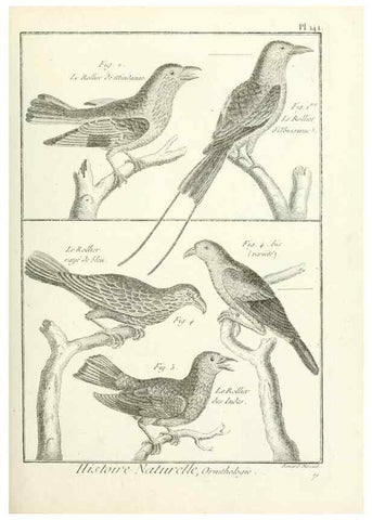 Reproducción/Reproduction 7850662500: Tableau encyclopédique et méthodique des trois règnes de la nature.. A Paris :Chez Mme. veuve Agasse ...,1823.