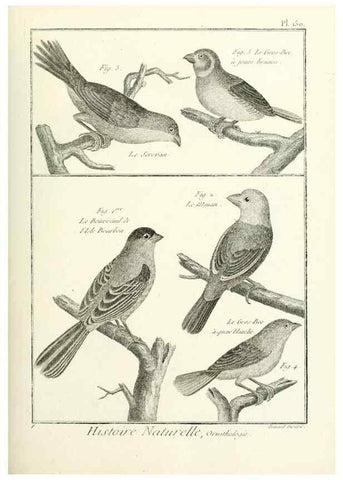 Reproducción/Reproduction 7850672282: Tableau encyclopédique et méthodique des trois règnes de la nature.. A Paris :Chez Mme. veuve Agasse ...,1823.