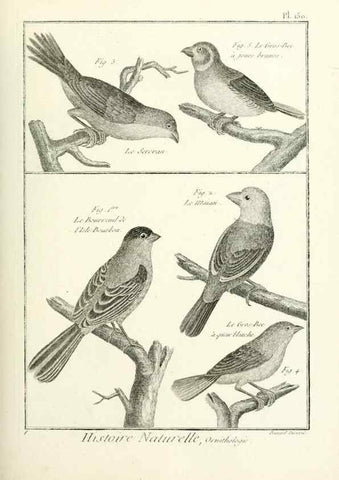 Reproducción/Reproduction 7850672282: Tableau encyclopédique et méthodique des trois règnes de la nature.. A Paris :Chez Mme. veuve Agasse ...,1823.