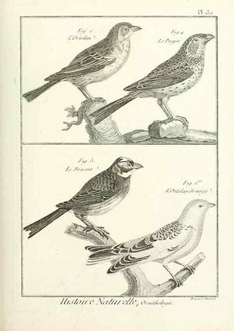 Reproducción/Reproduction 7850674452: Tableau encyclopédique et méthodique des trois règnes de la nature.. A Paris :Chez Mme. veuve Agasse ...,1823.