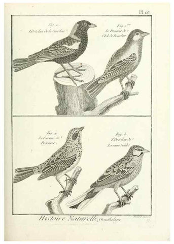 Reproducción/Reproduction 7850675462: Tableau encyclopédique et méthodique des trois règnes de la nature.. A Paris :Chez Mme. veuve Agasse ...,1823.