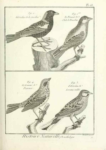 Reproducción/Reproduction 7850675462: Tableau encyclopédique et méthodique des trois règnes de la nature.. A Paris :Chez Mme. veuve Agasse ...,1823.