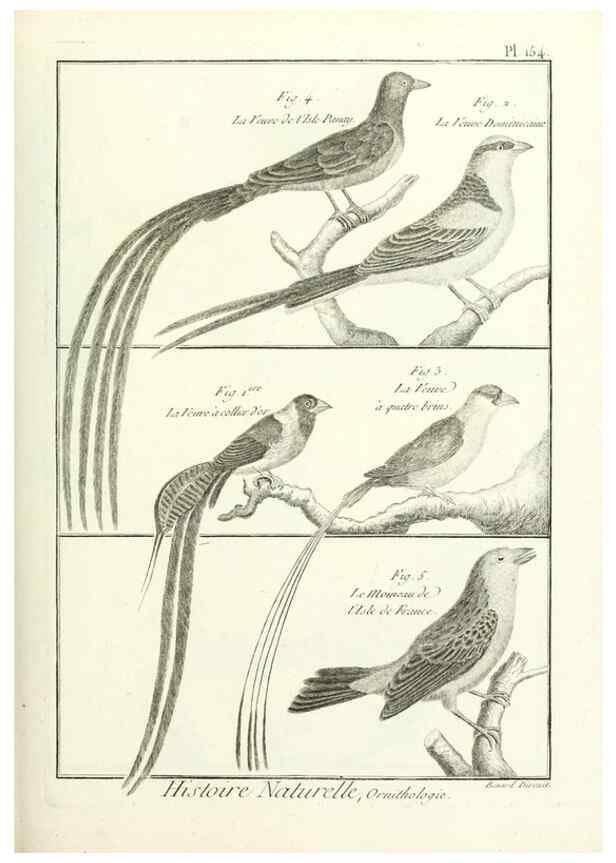 Reproducción/Reproduction 7850676580: Tableau encyclopédique et méthodique des trois règnes de la nature.. A Paris :Chez Mme. veuve Agasse ...,1823.