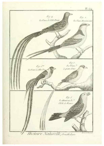 Reproducción/Reproduction 7850676580: Tableau encyclopédique et méthodique des trois règnes de la nature.. A Paris :Chez Mme. veuve Agasse ...,1823.