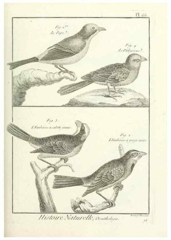 Reproducción/Reproduction 7850677578: Tableau encyclopédique et méthodique des trois règnes de la nature.. A Paris :Chez Mme. veuve Agasse ...,1823.